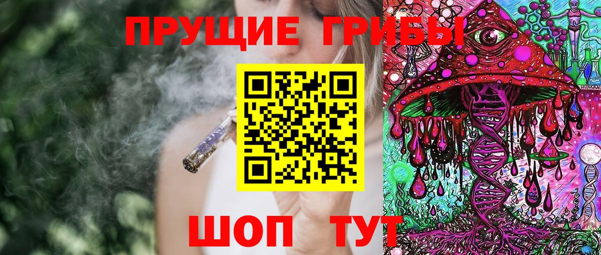Галлюциногенные грибы MAGIC MUSHROOMS Черногорск